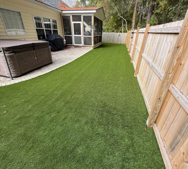 Perfect Grass and Fence